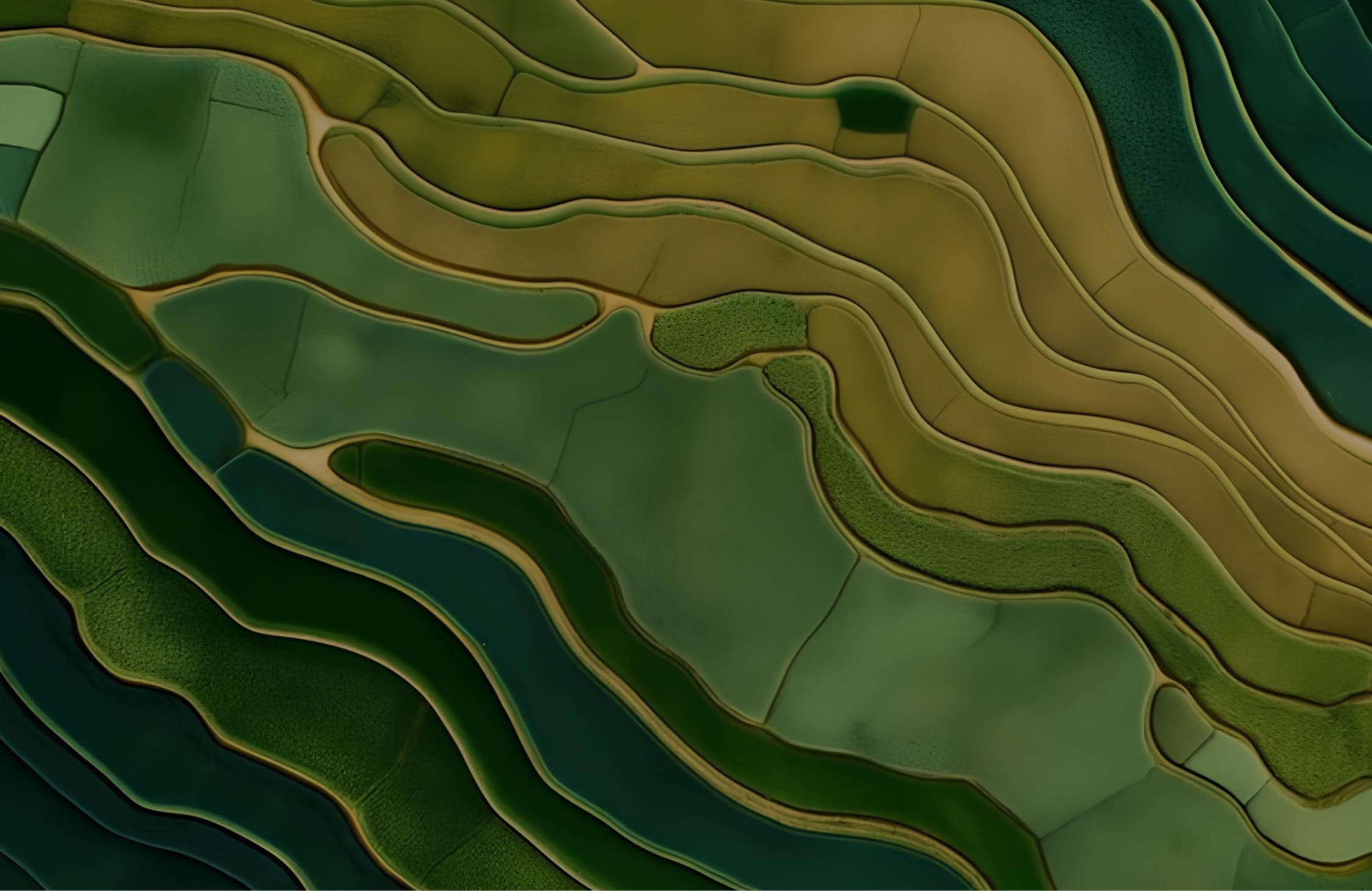 Aerial view of layered terraced rice fields in varying shades of green and brown.